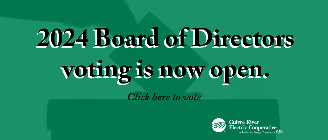2024 Board of Directors voting is now open. Click here to vote.
