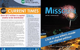 July 2021 Issue of Rural Missouri/Current Times