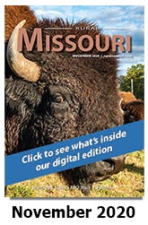 November 2020 Issue of Rural Missouri / Current Times Magazine