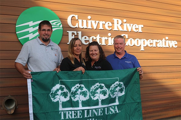 Cuivre River right of way employees pose with a Tree Line USA flag