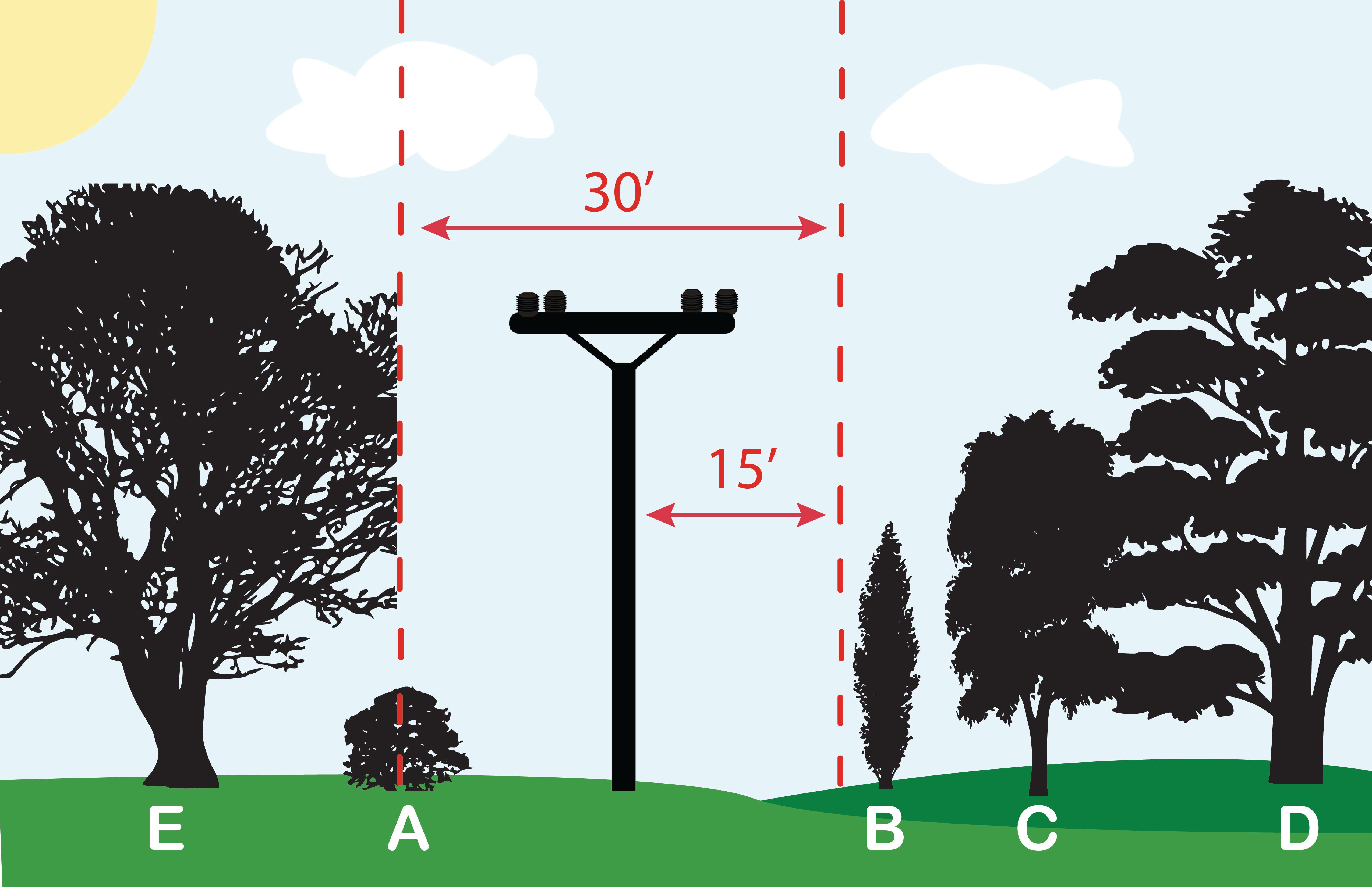 Right of Way planting diagram