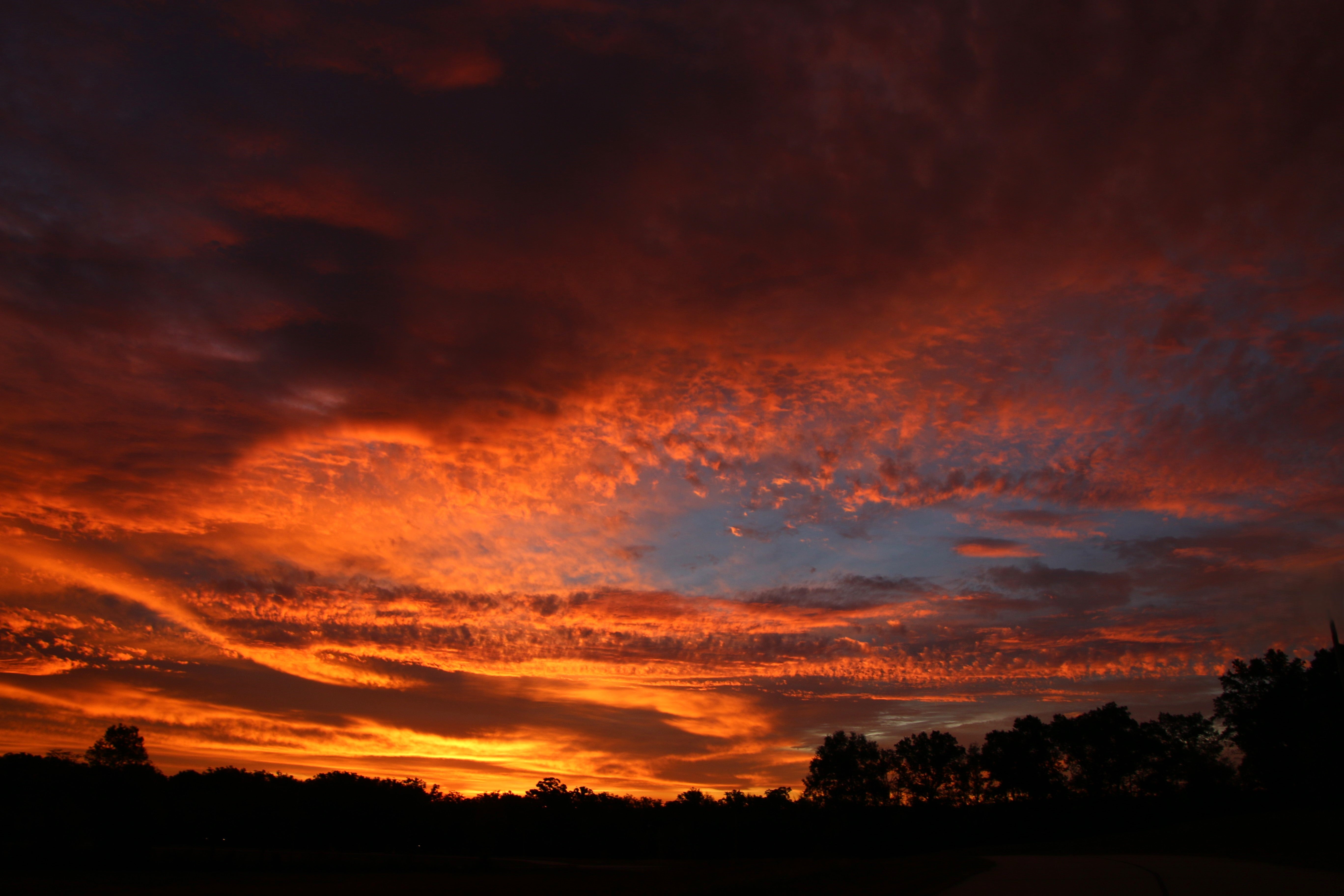 “Sunrise Phenomena” Honorable Mention Alice Muschany, Wentzville
