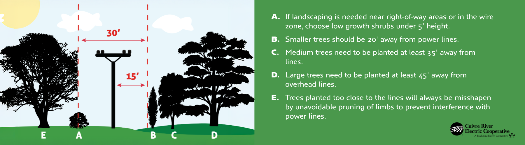Tree planting guide
