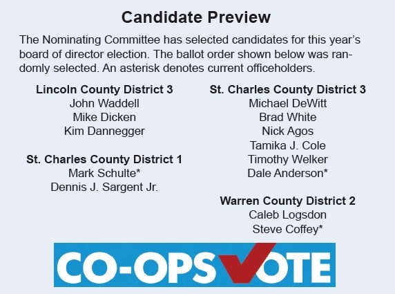 Candidate Preview